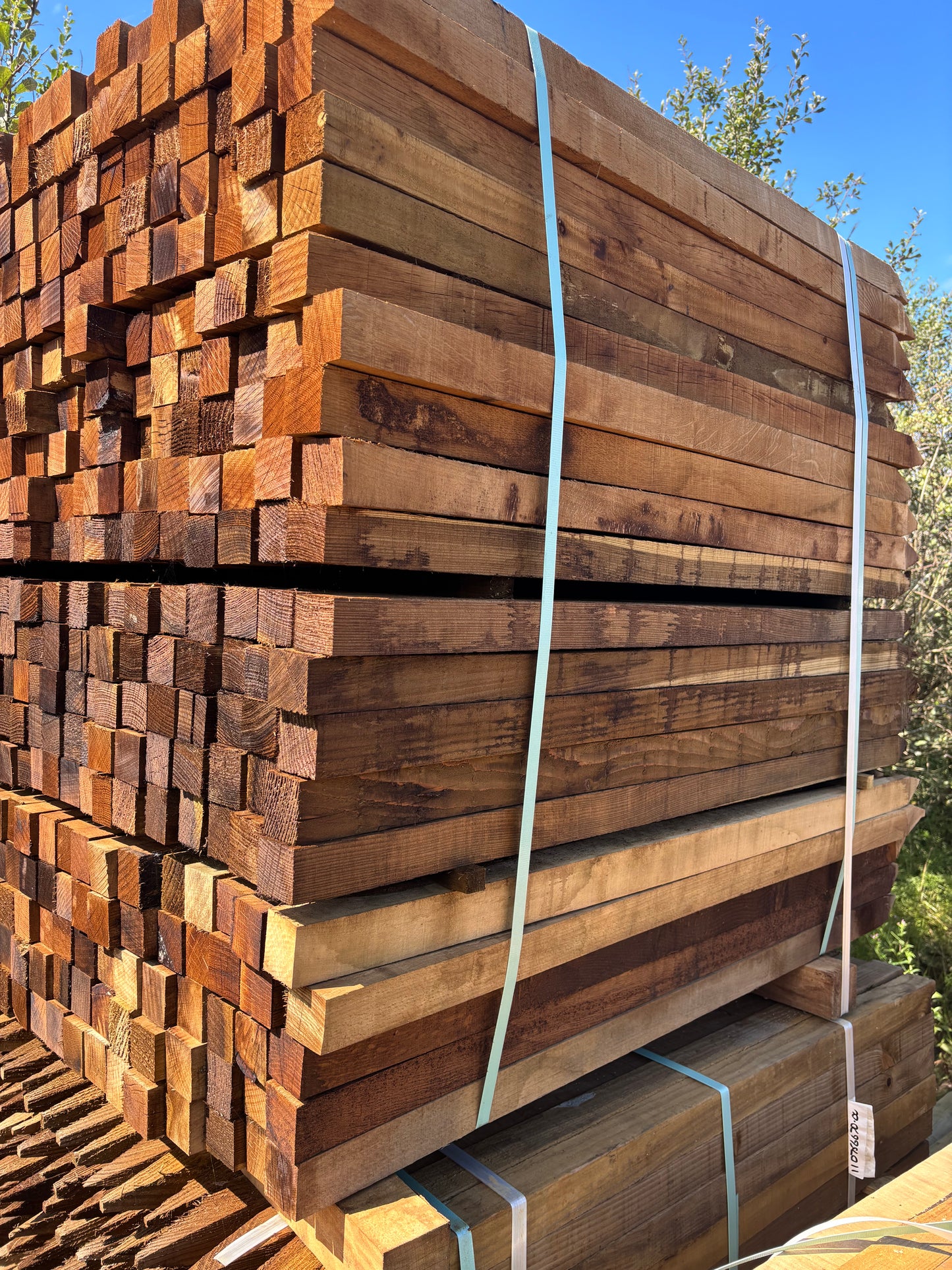 50X50X1800 pegs/stakes
