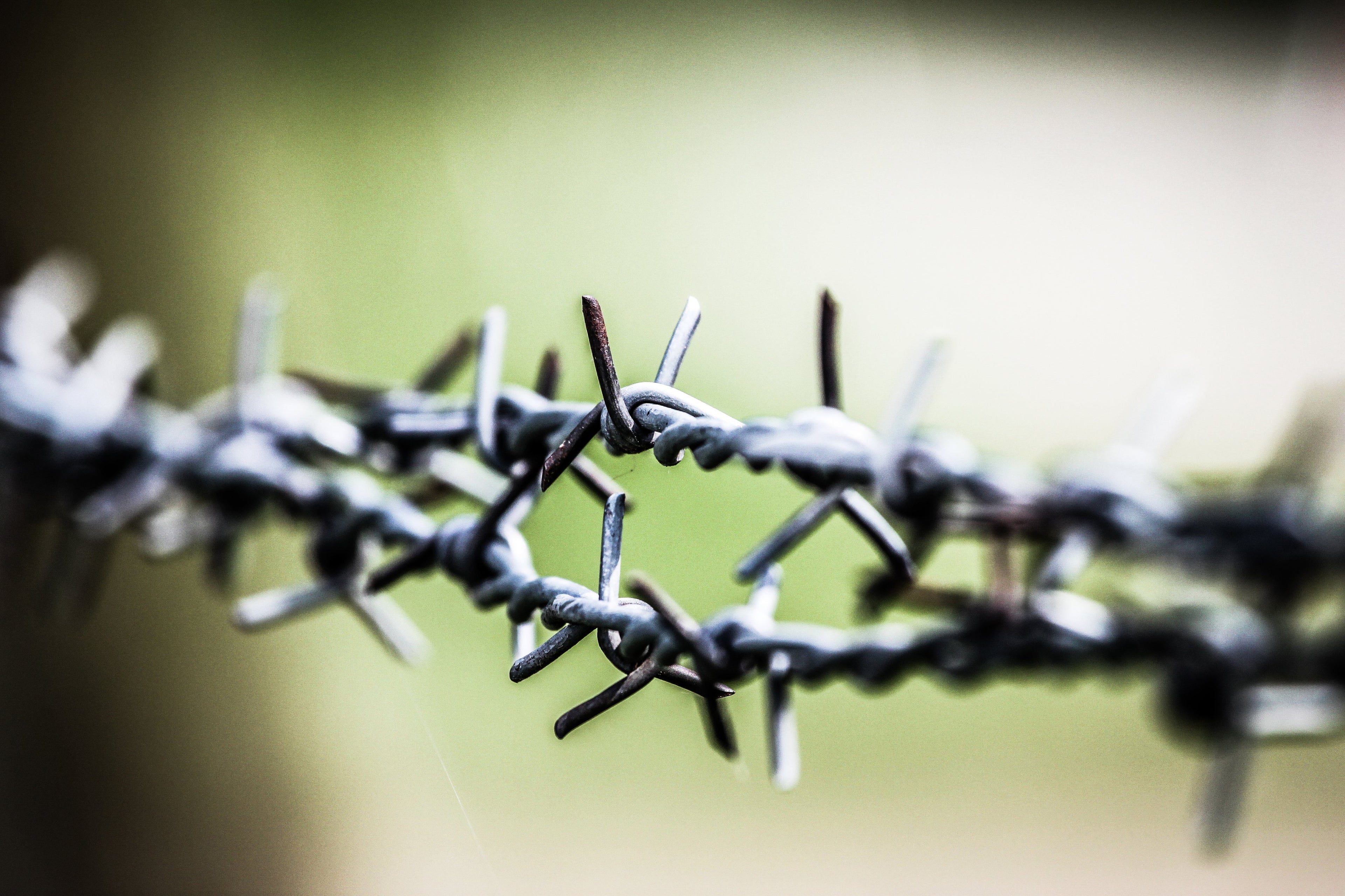 Barbed Wire