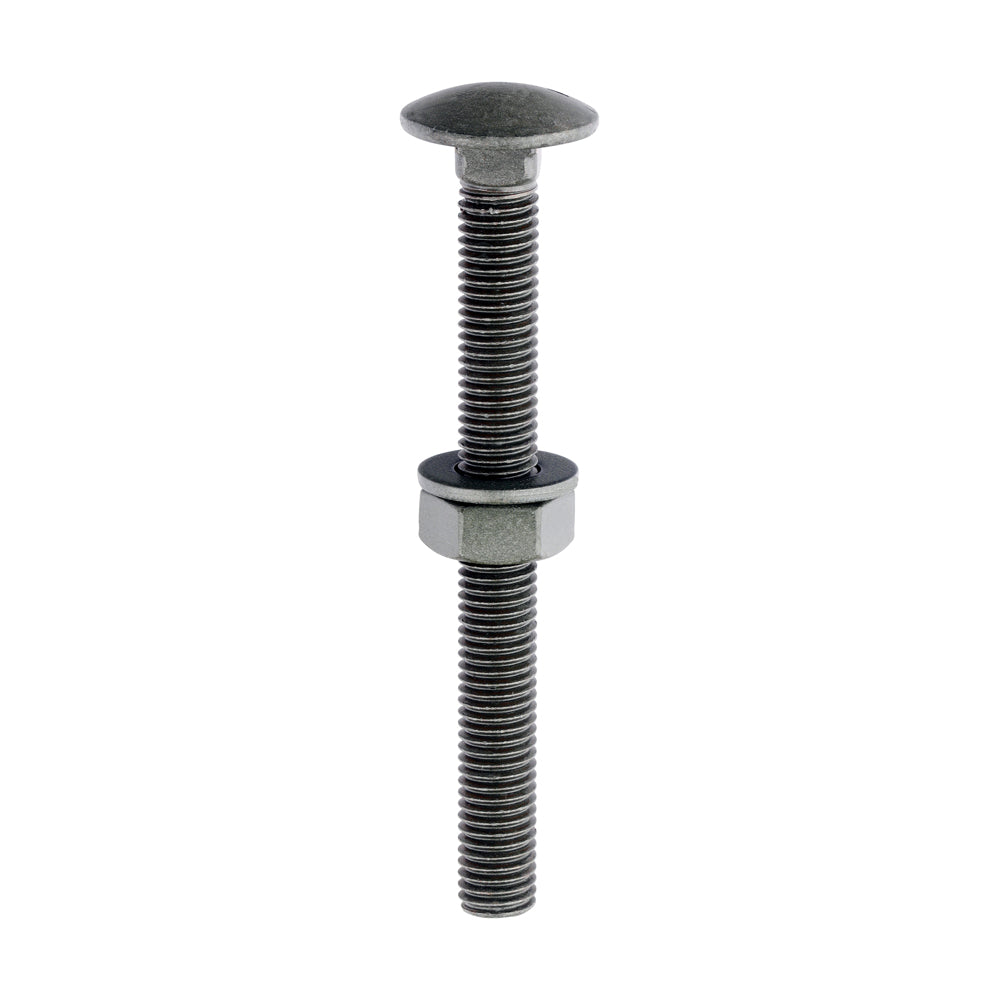 M8 x 100 Carriage Bolts & Hex Nuts - Zinc  (40)