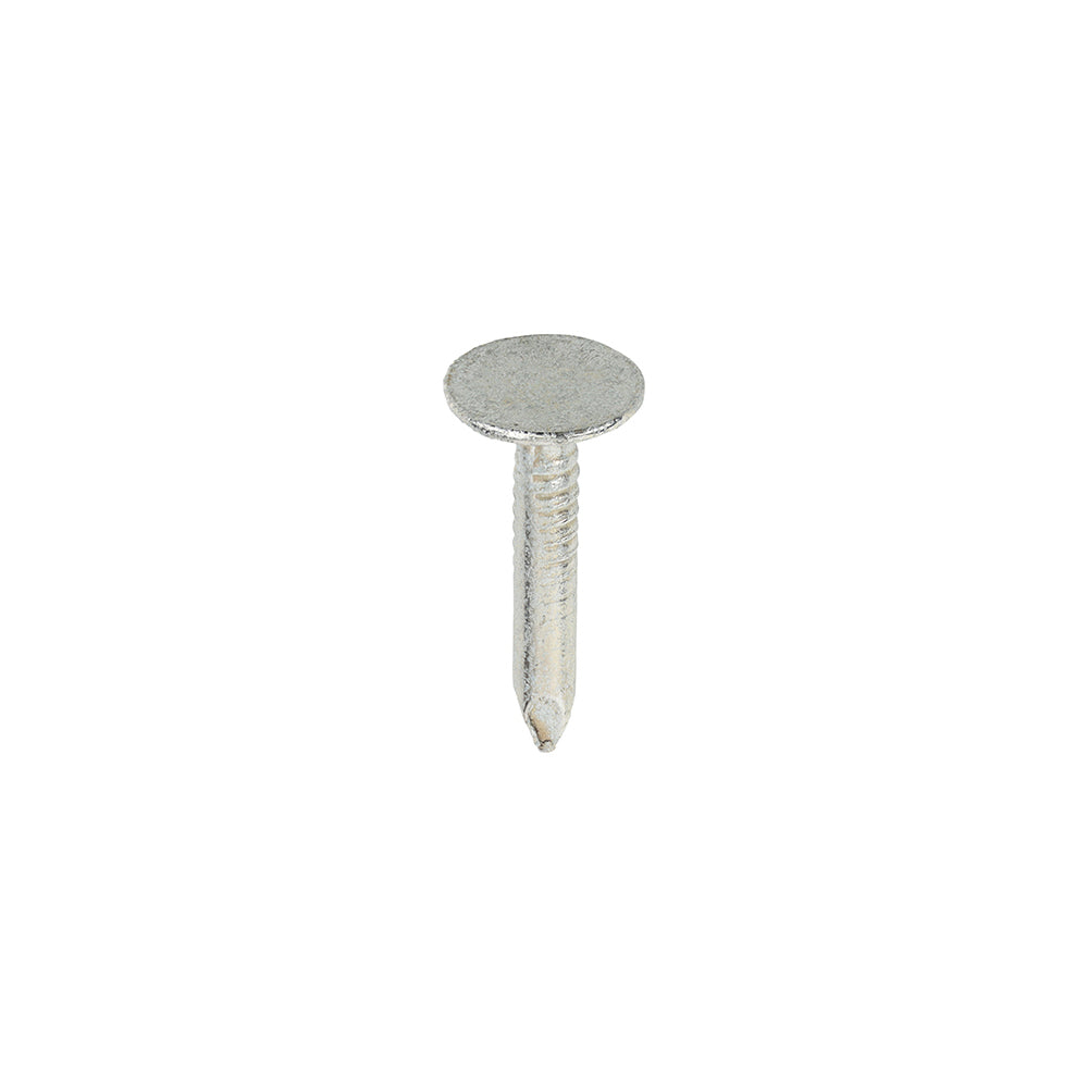 20 x 3.00 Extra Large Head Clout Nails