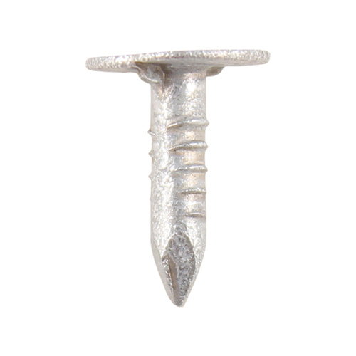 20 x 3.00 Extra Large Head Clout Nails - Galvanised - Bag (1kg)