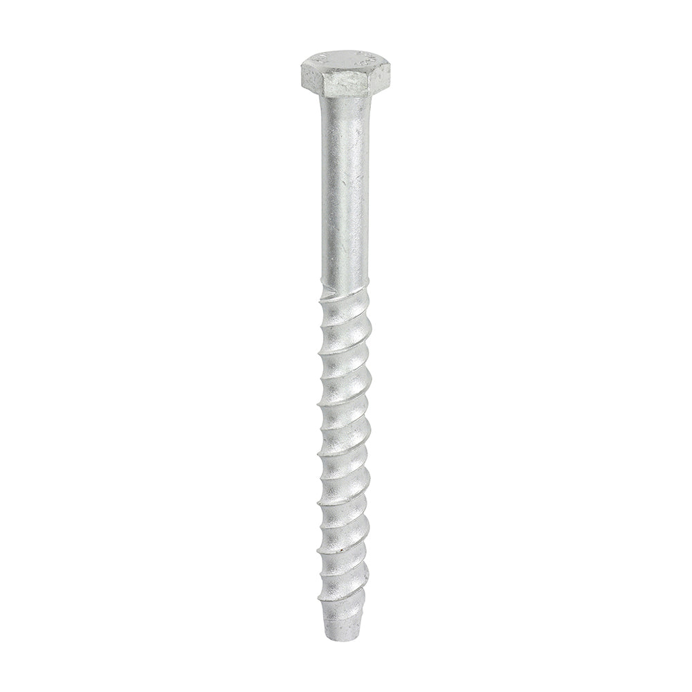 12.0X150 Multi-Fix Masonry Bolts - Hex - Exterior - Silver - Box