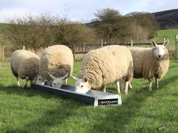 2740 long Sheep feed trough (851-01)